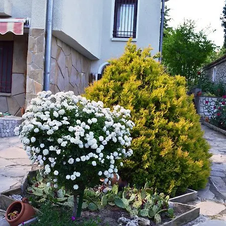 Penzion Pulpudeva Sluneční pobřeží